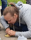 Marking a bumblebee in the field