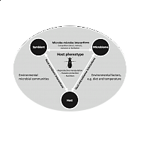 tripartite interaction