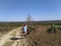 Field work in the Brazilian Cerrado