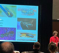 Presentation at the Congress of the International Union for the Study of Social Insects in San Diego, July 2022. Photo Credit: Sandra Rehan