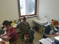 Lyon: Species identification